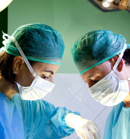 Veterinaria Málaga