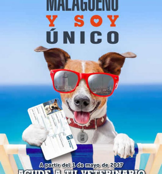 Veterinaria Málaga