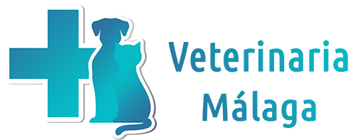 Veterinaria Málaga